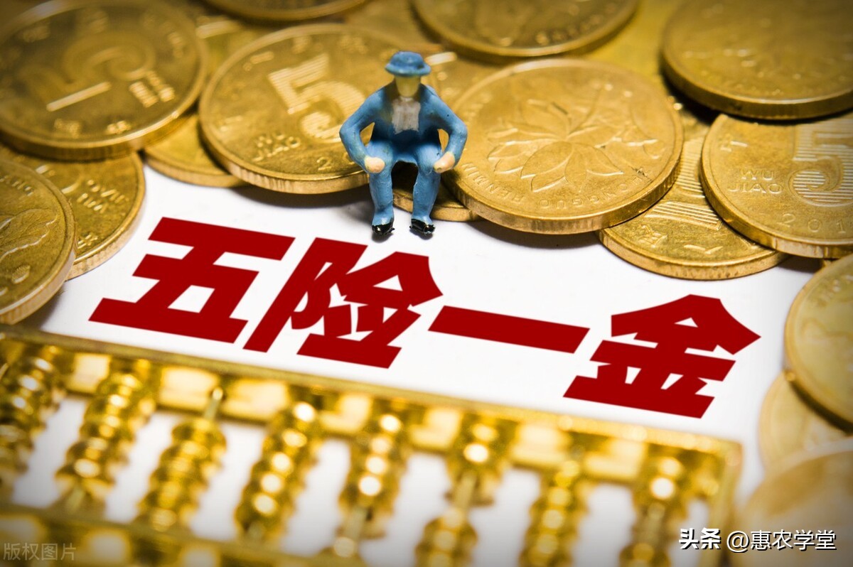 紧急指南保险公积金断交怎么办？保持稳定收入和生活的关键策略