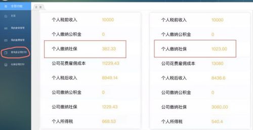 单位交保险怎么查询
