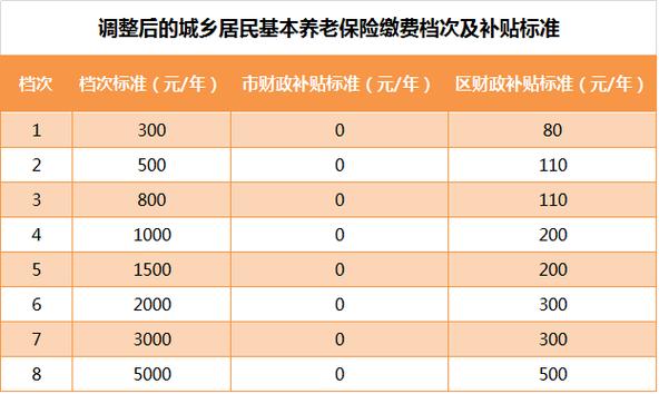 新农养老保险怎么办理？全面解析助你轻松参保