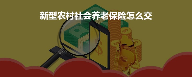 新农养老保险怎么办理？全面解析助你轻松参保
