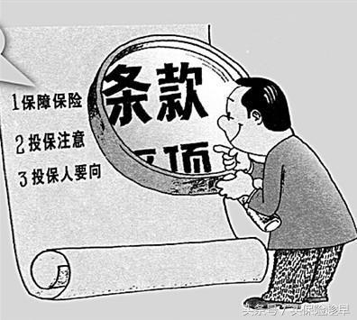 保险身故怎么赔付，详细指南与注意事项