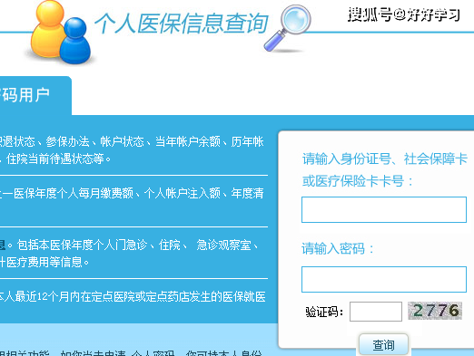 个人网上查询医保指南