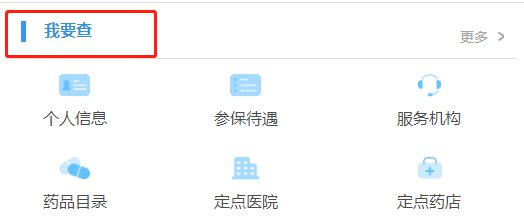 个人网上查询医保指南