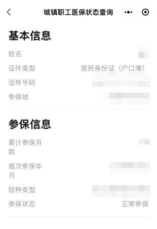 农村医保交费明细查询