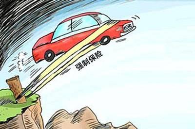 强制保险怎么报？