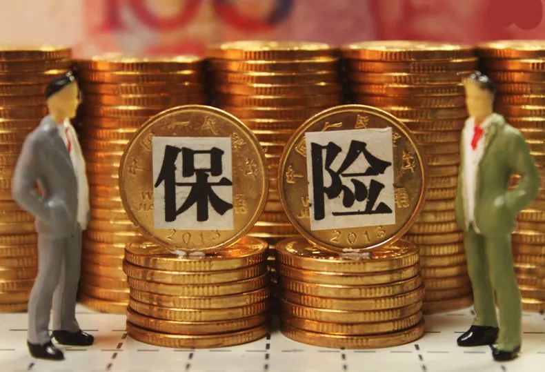 强制保险怎么报？