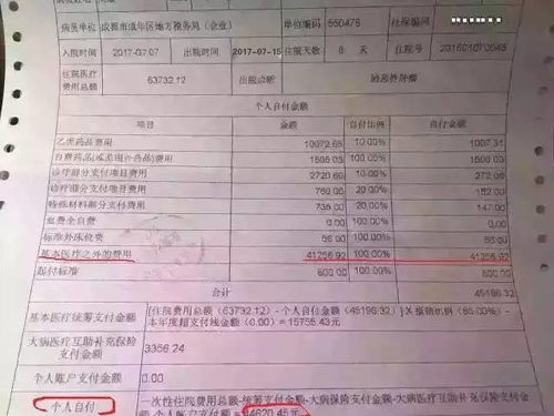 大额医保怎么查询保单