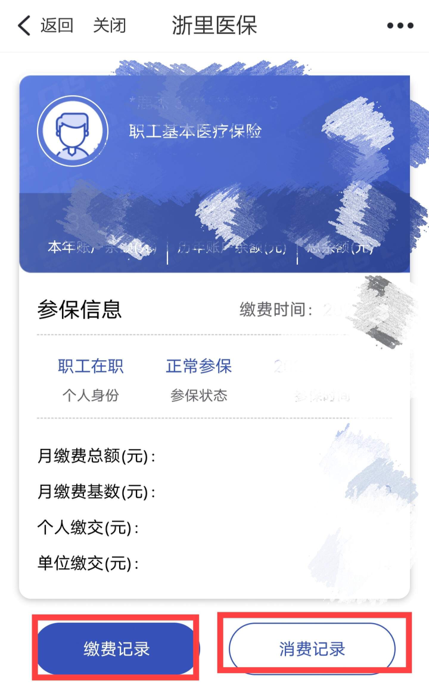 怎么查询医保是否缴费记录