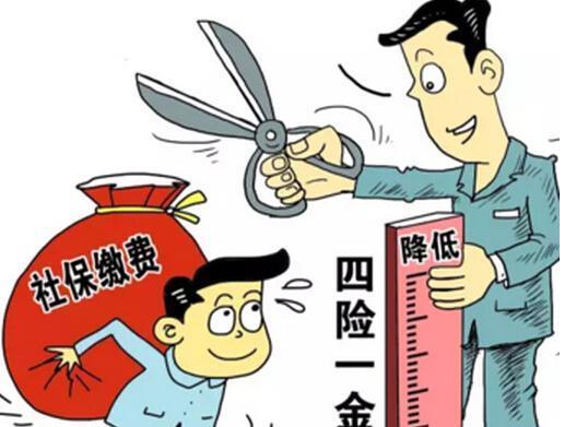 没有社保的结果怎么查？如何应对社保问题