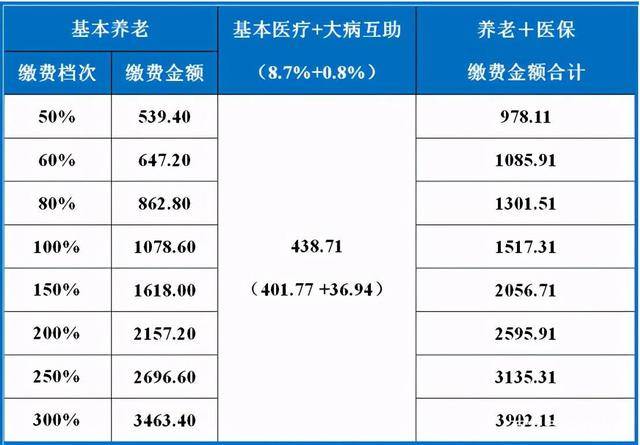 职工社保交费日期查询方法及注意事项