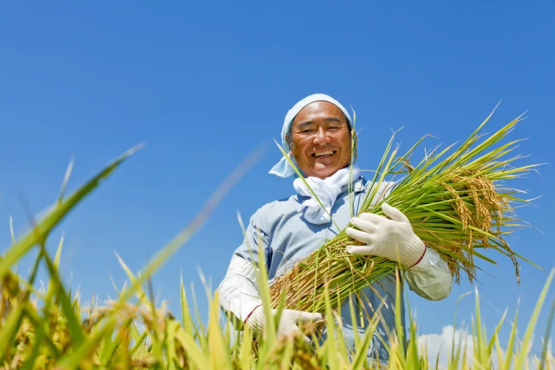 如何申请农业医保卡密码及相关信息
