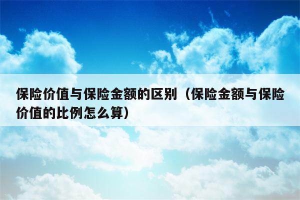保险金额与保险价值的比例计算