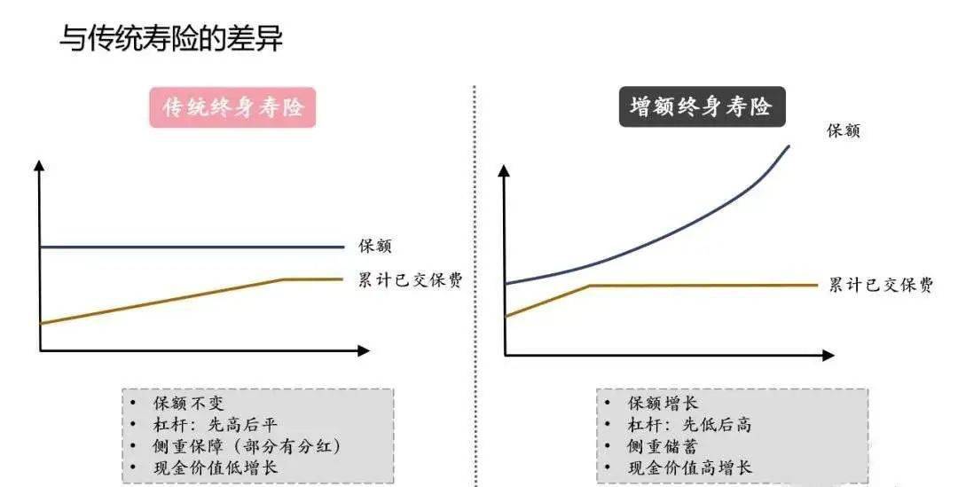 保险金额与保险价值的比例计算