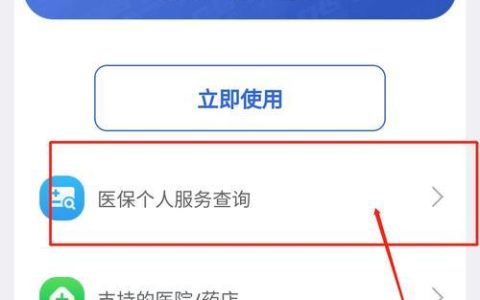 怎么查询大学医保余额