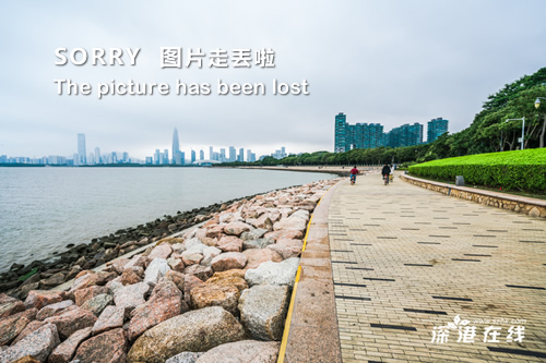 汽车票退保险指南