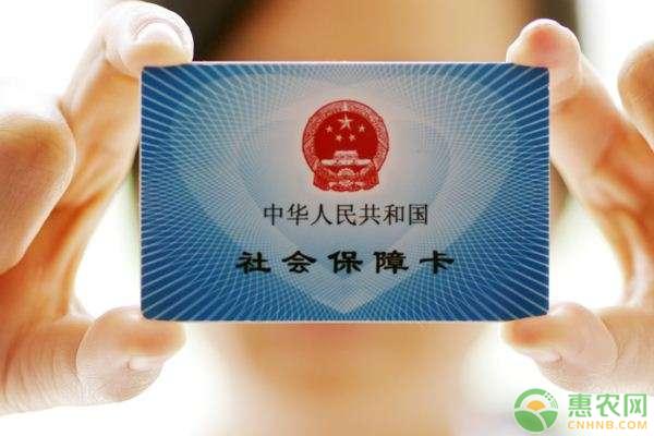 界首农村社保怎么交的—了解当地政策，选择合适的缴费方式