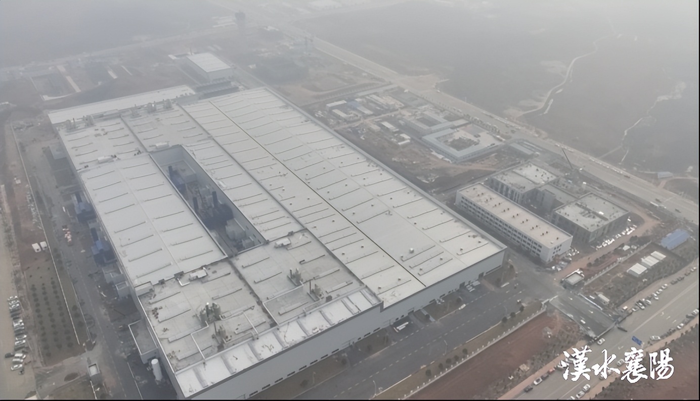 社保超时了怎么办理