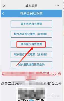 网站怎么交农村医保保险？
