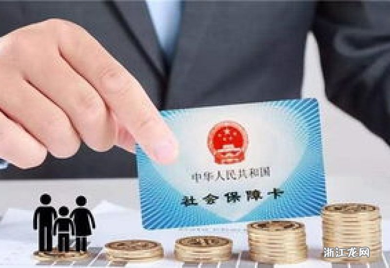 社保缴费险种查询不到，该如何处理？