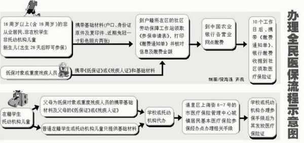 医疗保险证怎么办理，一份详细的指南