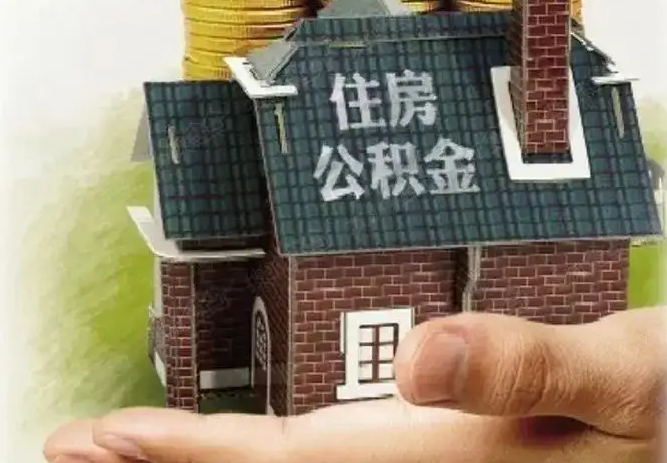 怎么知道单位缴纳了公积金？
