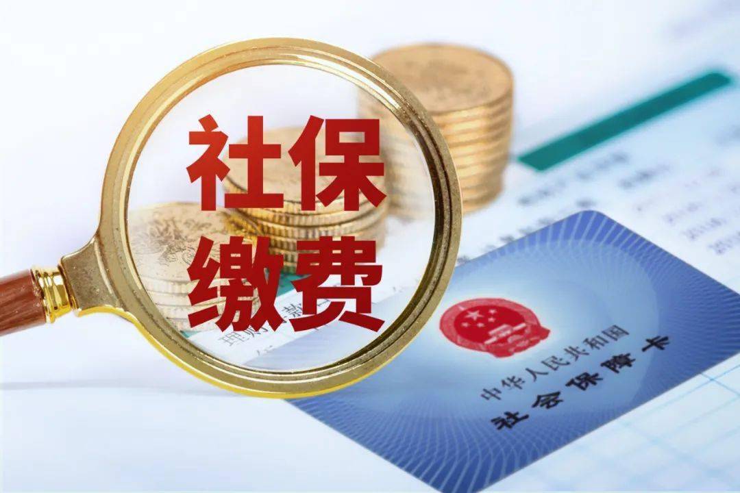 怎么知道单位缴纳了公积金？