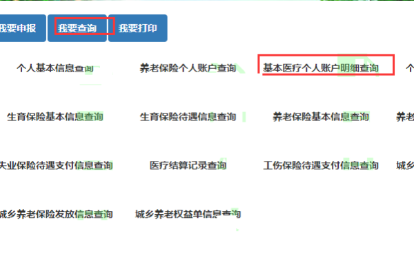 如何在线查询医保账户信息，一份详尽指南