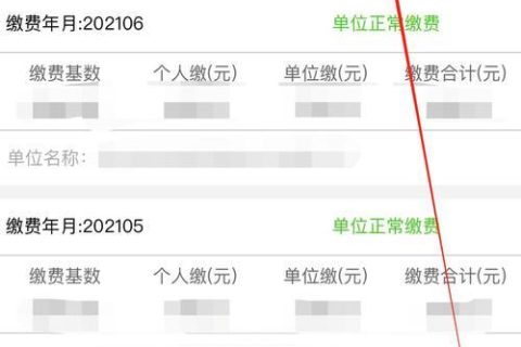 如何查询新社保缴费记录？详细步骤解析