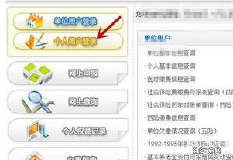 如何查询新社保缴费记录？详细步骤解析