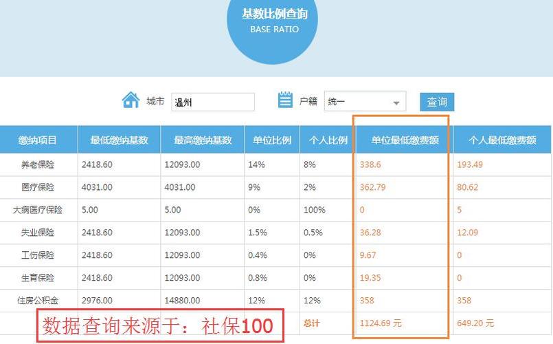 如何查询新社保缴费记录？详细步骤解析