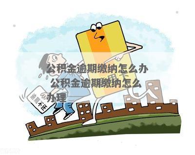 公积金逾期解除合约指南