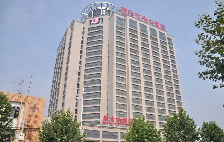 河南社保查询系统详解