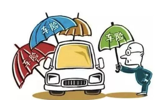 贷款购车保险攻略，如何选择合适的保险方案