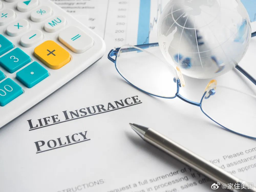 保险语言的艺术，如何准确、清晰地解释保险条款和选项