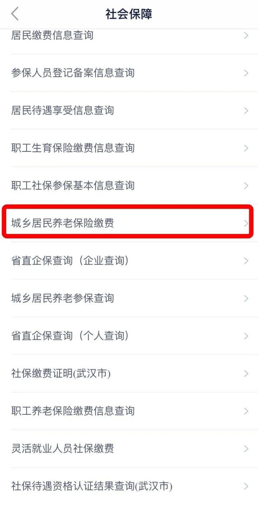 如何查询社保是否购买成功？—一份详细指南