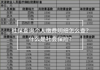 社保查询每月明细，掌握你的社保动态！