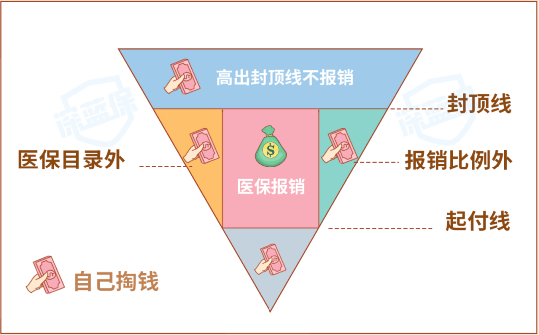 退休后的法人如何继续缴纳社保，一份详尽指南