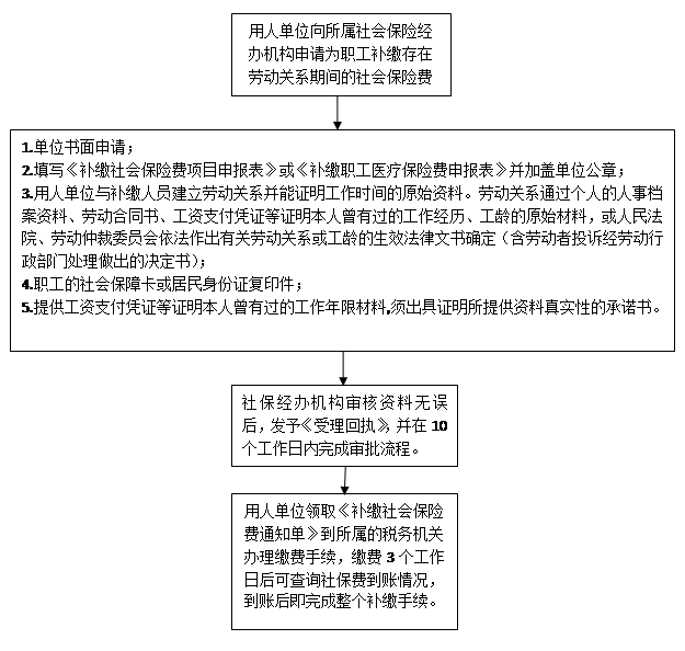 用工单位补交社保怎么写