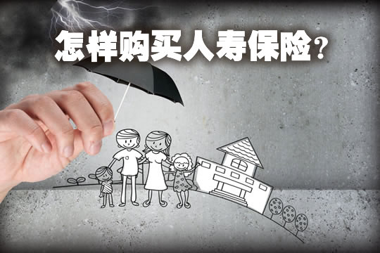 人寿保险怎么买合适？