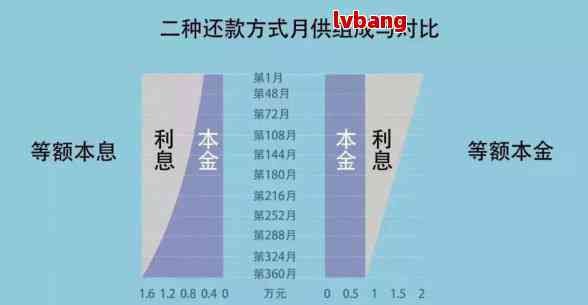 应对大额贷款还款，策略与建议