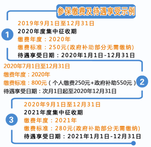 掌握个人养老保险金缴费情况的全面指南