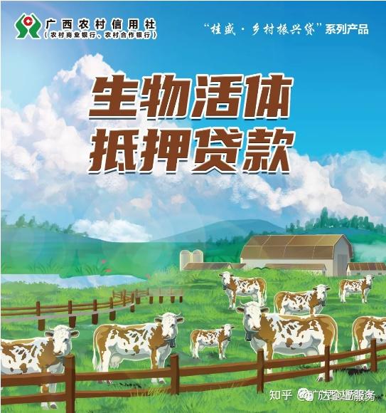 如何代办养殖业贷款，详细指南与建议
