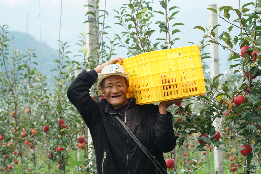 厂里搬迁社保怎么办？