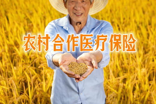 320的农村医保怎么交？