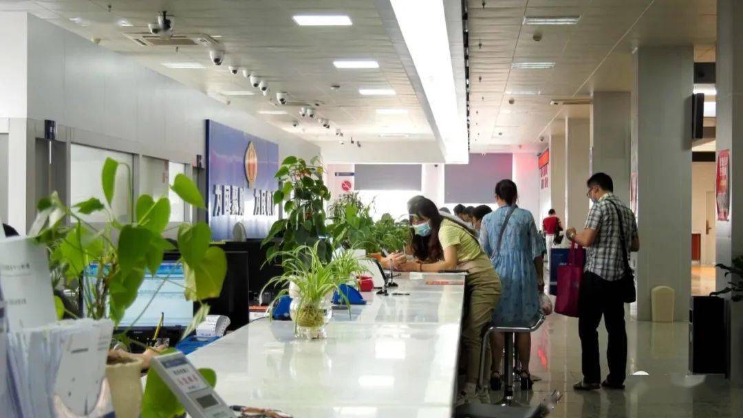 龙岩市医保查询指南