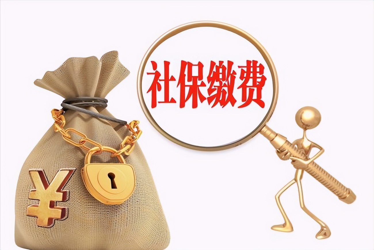 上海社保基数高低，一查便知！