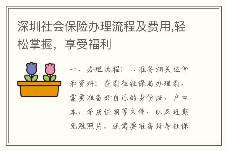 深圳户口社保缴纳全指南，了解详细步骤与注意事项