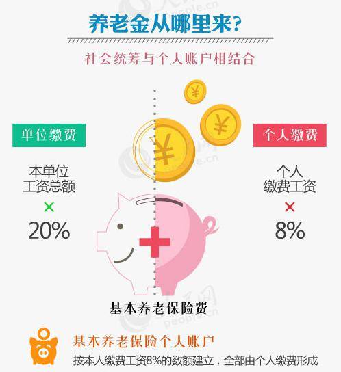 金华养老保险怎么交？