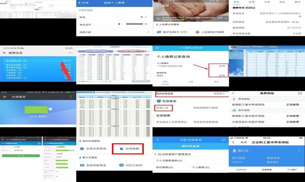 单位刚交了社保怎么查询？教你轻松找到社保缴费记录