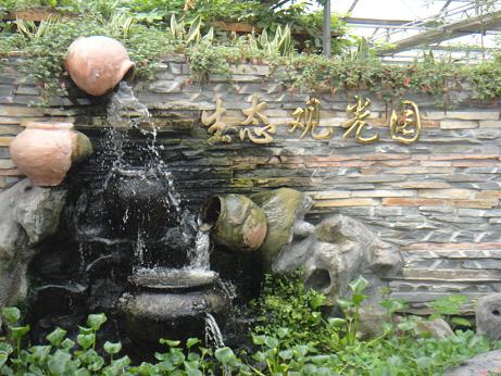 阳光宝贝保险怎么样？全面解读保险条款与保障范围